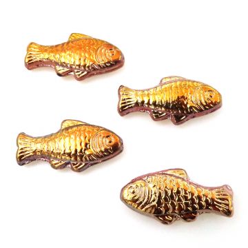 4 Fish: Golden Rainbow