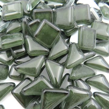 H079 Evergreen (disc)