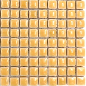 Yellow Pepper H102