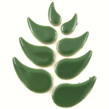 Raindrop: H141 Eucalyptus  