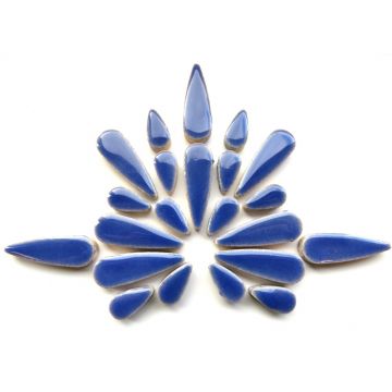 H191 Delphinium: 50g