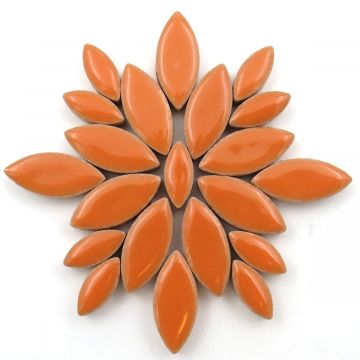 Mini Petals: H6002 Mandarin: 50g