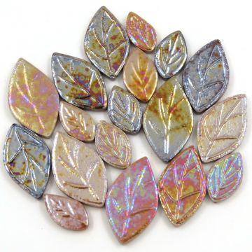 Iridescent Leaf Mix: Heuchera (50g)