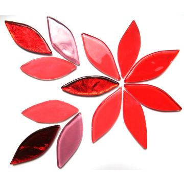 XL Petals: Hibiscus Mix: 12 Pieces