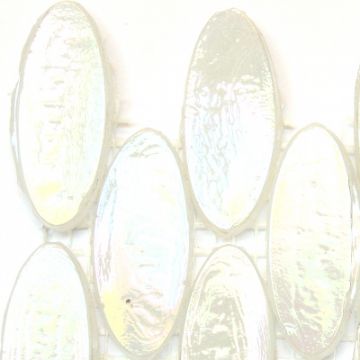 SE02 Icecap (disc)