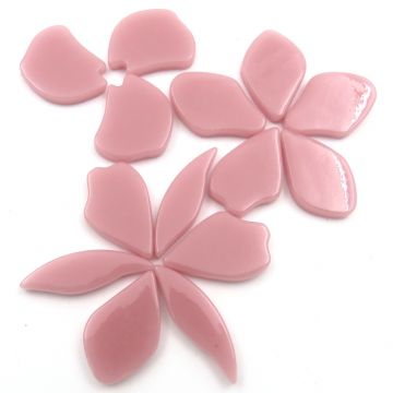 Fallen Petals: Rose Petals 017: 50g