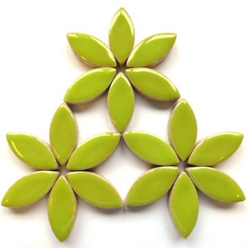 25mm Petal: H13 Kiwi (disc)