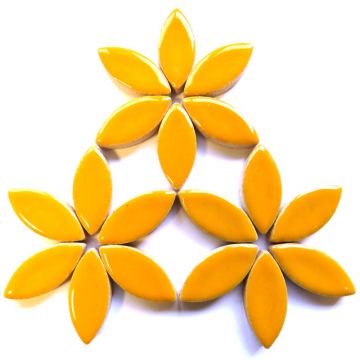 H101 Curry 25mm Petal: 50g