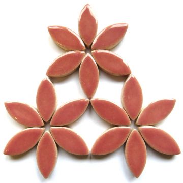 H49 Dusty Rose 25mm Petal: 50g