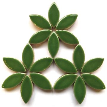 H141 Eucalyptus 25mm Petal: 50g