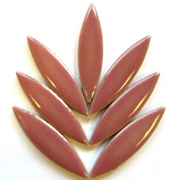 Ellipse: H49 Dusty Rose