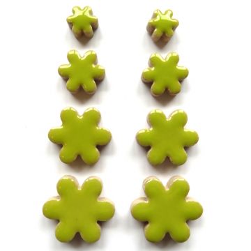 Flowers: Kiwi  H13