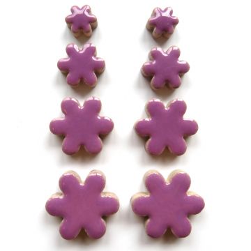 Flowers: Pretty Purple  H43
