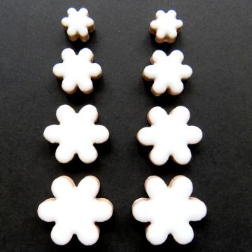 Flowers: White  H3