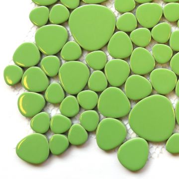 Kiwi H13 