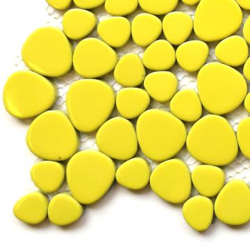 Citrus Yellow H71 