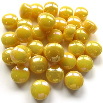 031p Pearlised Corn Yellow: 50g