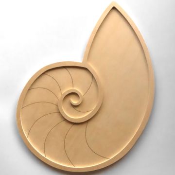 Nautilus (29x20cm)