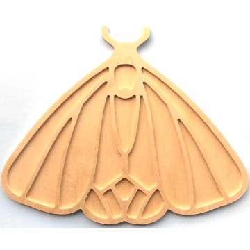 Night Moth (30x24cm)