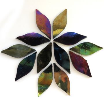 Small Petals: MY15 Universe