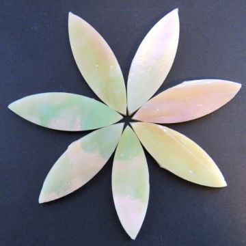 Large Petals: MY27  Vanilla Pearl