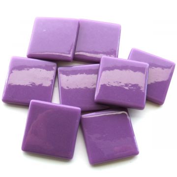 PDV Magenta Bis60: 100g