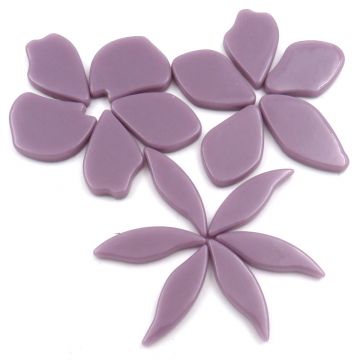 Fallen Petals: Lavender 053