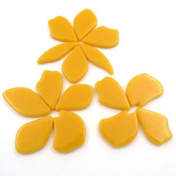 Fallen Petals: Goldenrod Bis44