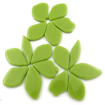 Fallen Petals: Acid Green Bis91: 50g