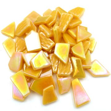 Snippets: Iridised Goldenrod Bis44