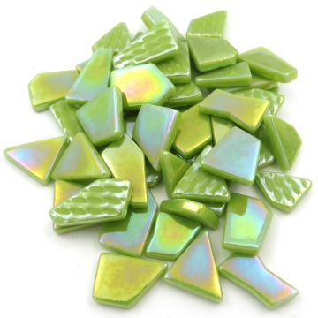 Snippets: Iridised Acid Green Bis91p: 100g