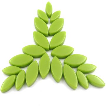 Petals: Acid Green Bis91