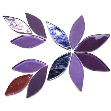 XL Petals: Iris Mix: 12 Pieces