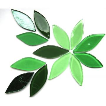 XL Petals: Ivy Mix: 12 Pieces