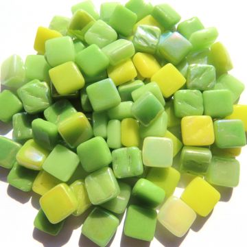 8mm Lime Squash (500g)