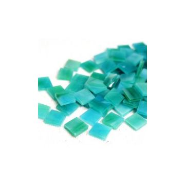 MG104 Parrotfish