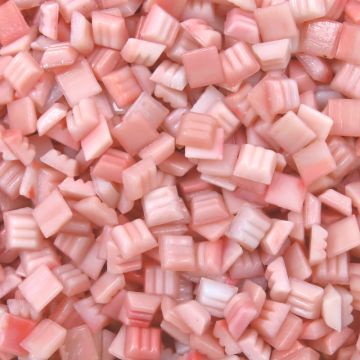 Mini Studio: Coral Marble:  Loose