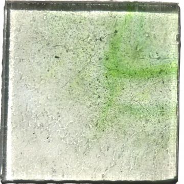 Moss 1: Transparent