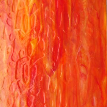 Deep Orange Yellow Texture (5x15) (disc)