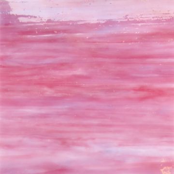Pink Purple Rose 
