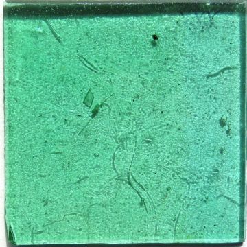 Pistachio 3: Transparent