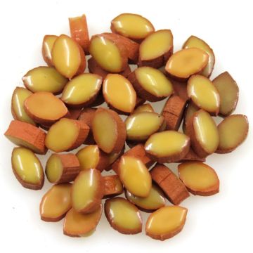 8mm Mini Petal: Saffron, RY03 (+/-50 pieces)