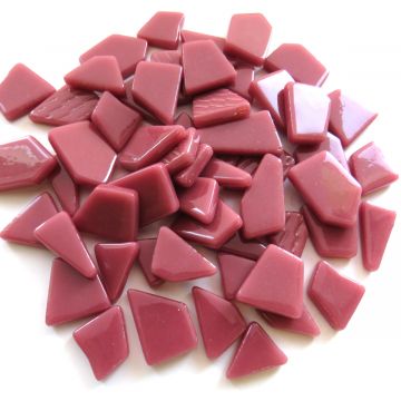 Snippets: Raspberry Bis20: 100g