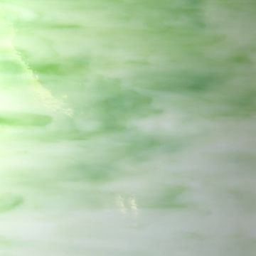 Tender Shoots (34#-1)