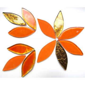 Tiger Lily Mix: 12 Pieces