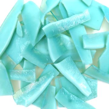 Tropical Sea Chutes: 500g