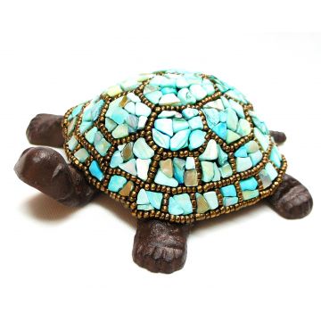 Turtle: Teal