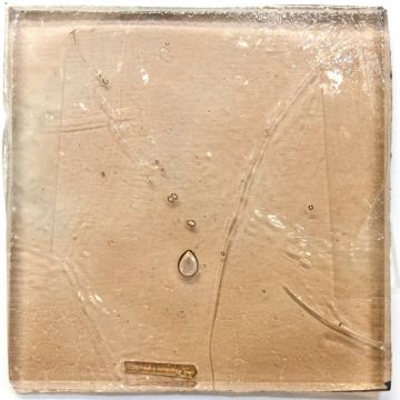 Beige 3: Transparent