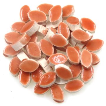 8mm Mini Petal: Salmon orange, WR02 (+/-50 pieces)