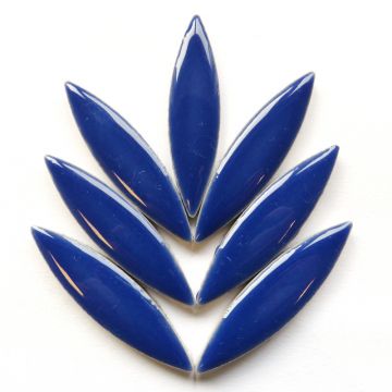Ellipse: H191 Delphinium: 8 tiles